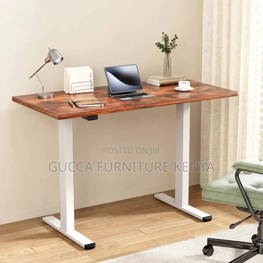 Motorized Electric Sit Stand Office Desk-120cm