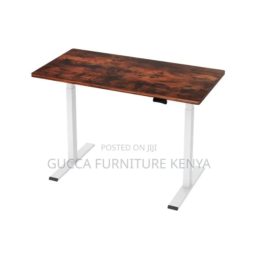Motorized Electric Sit Stand Office Desk-120cm