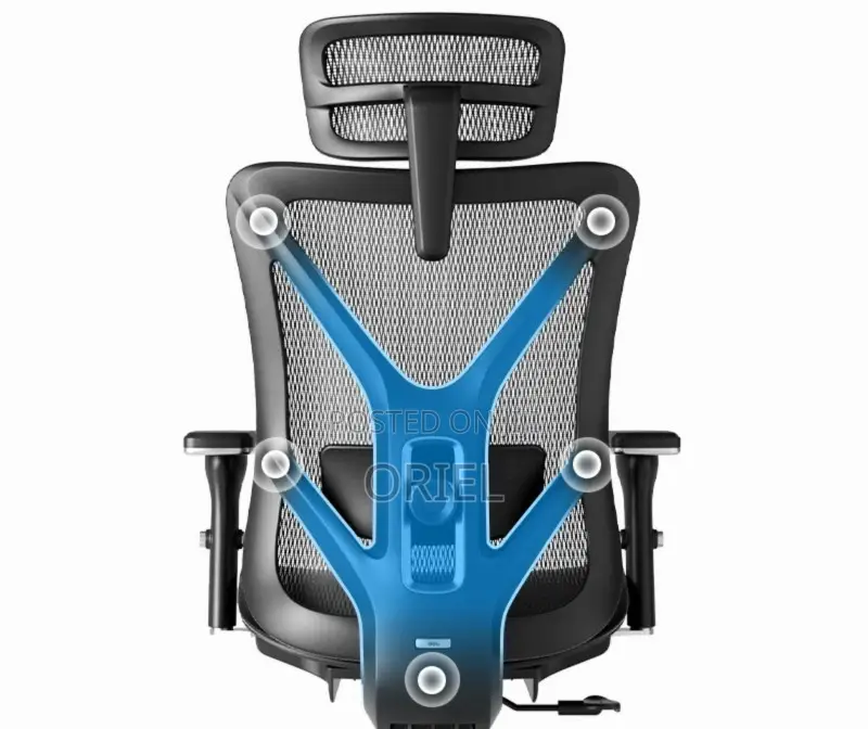 Office Chairs; Elite Orthopedic Lumbar Support Desk Chair