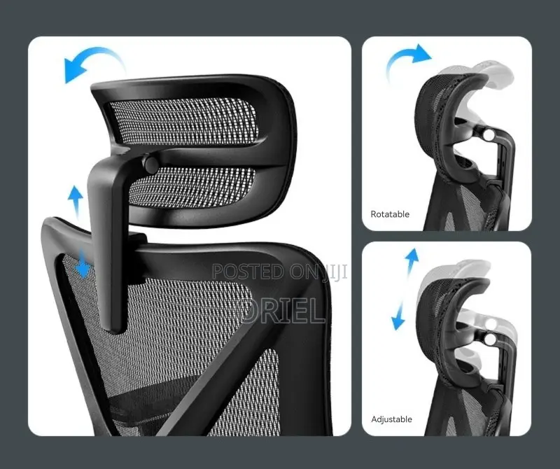 Office Chairs; Elite Orthopedic Lumbar Support Desk Chair