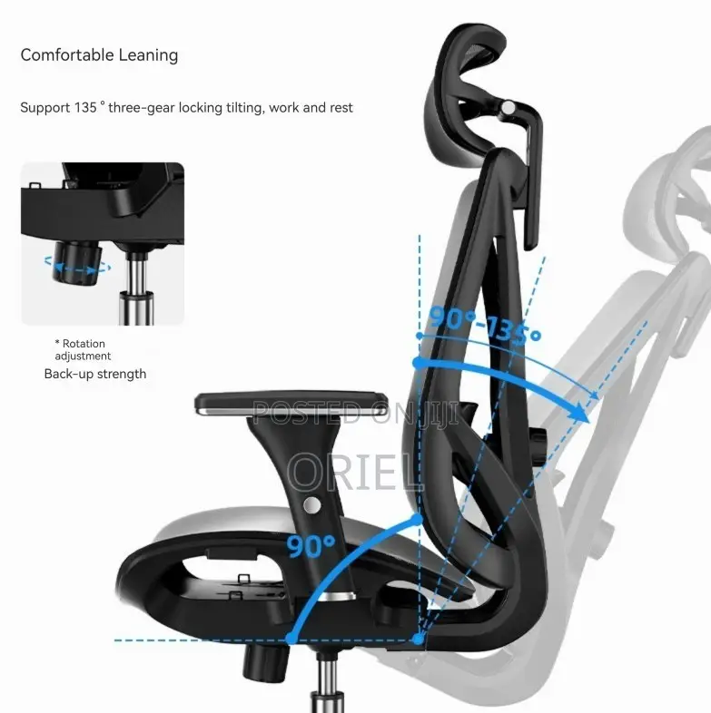 Office Chairs; Elite Orthopedic Lumbar Support Desk Chair