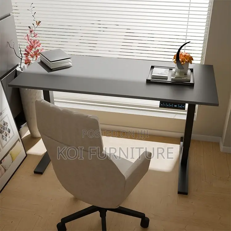 Office Desk : 1.2m Office Adjustable Standing Desk