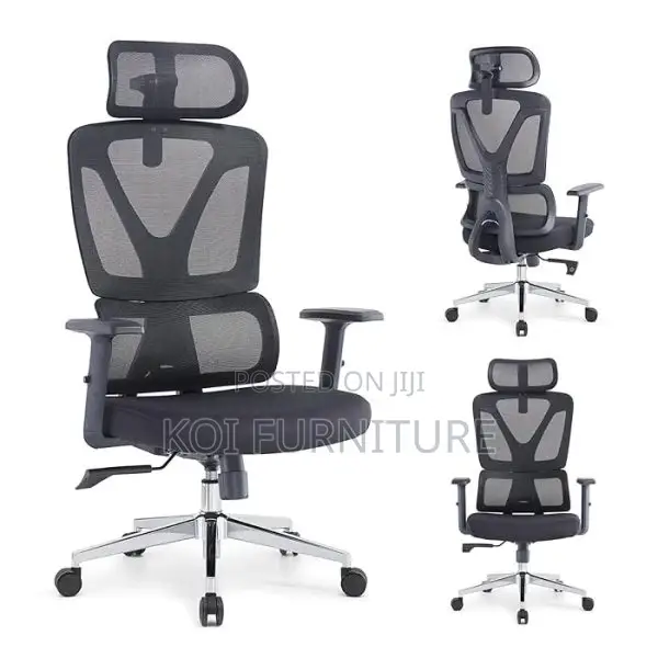 Office Chairs; Executive Office Orthopedic Chair