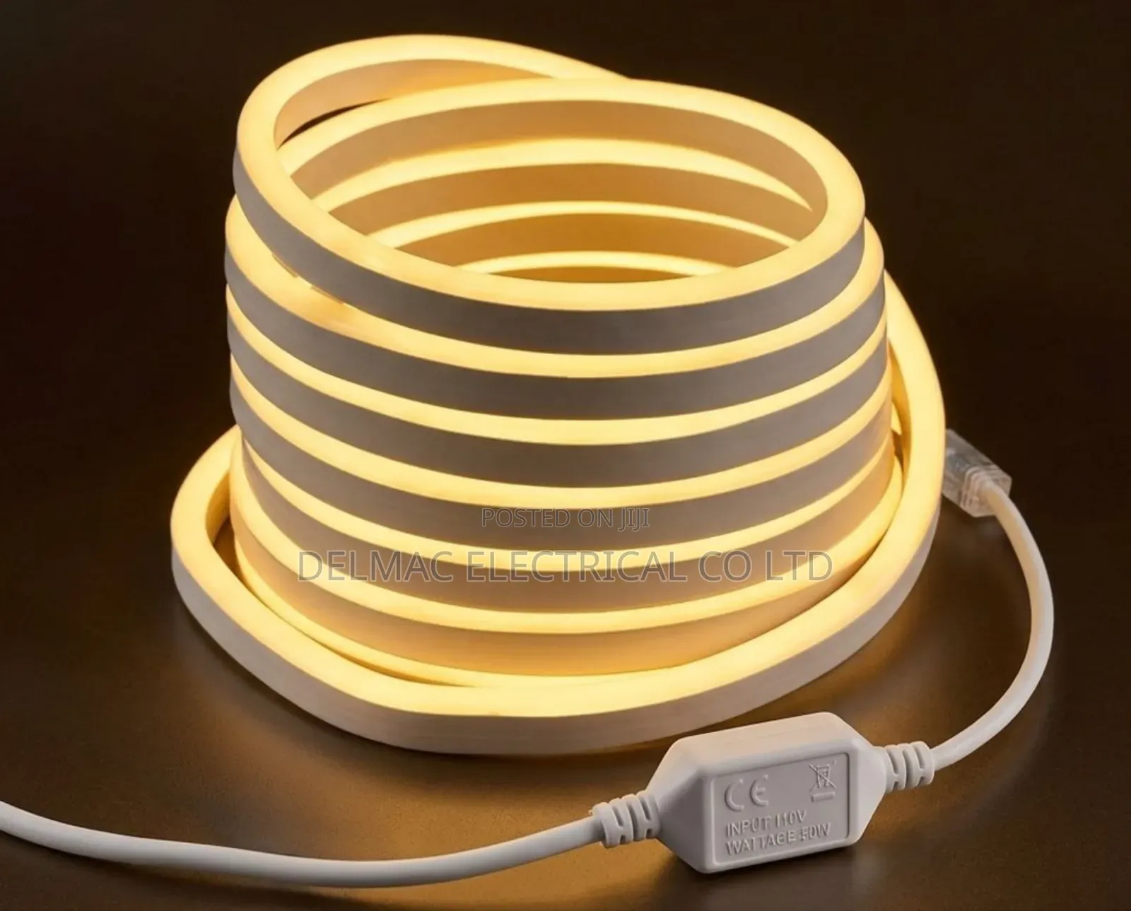 Neon Led Snake Light