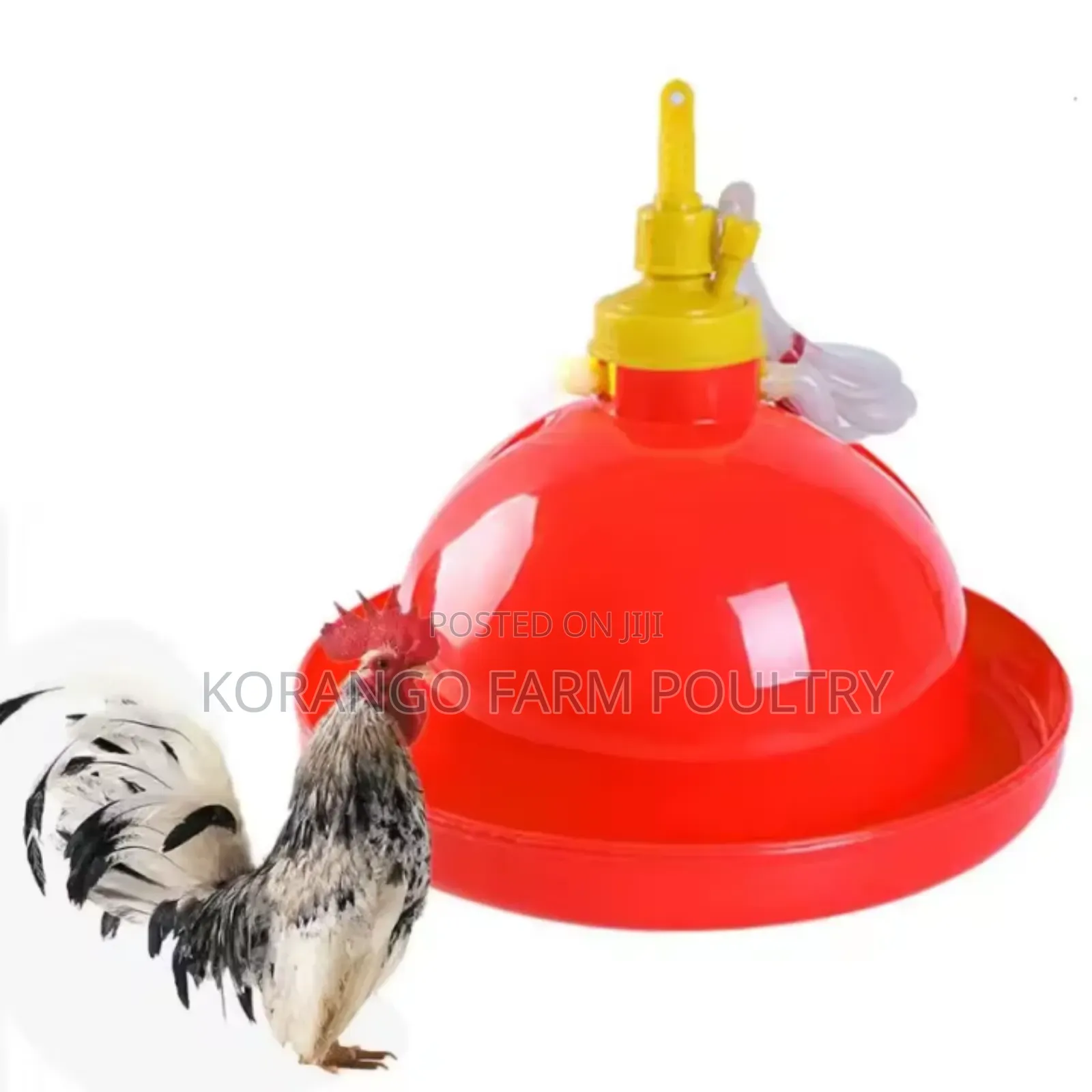 Automatic Chicken Bell Drinkers