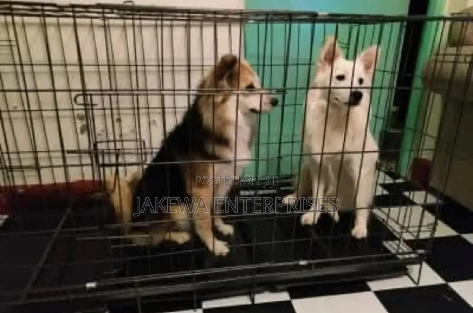 Durable Heavy Duty Dog Cage Foldable Kennel