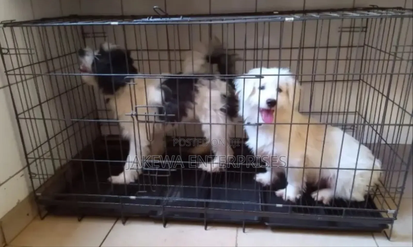 Heavy Duty Dog Cage Kennel Foldable