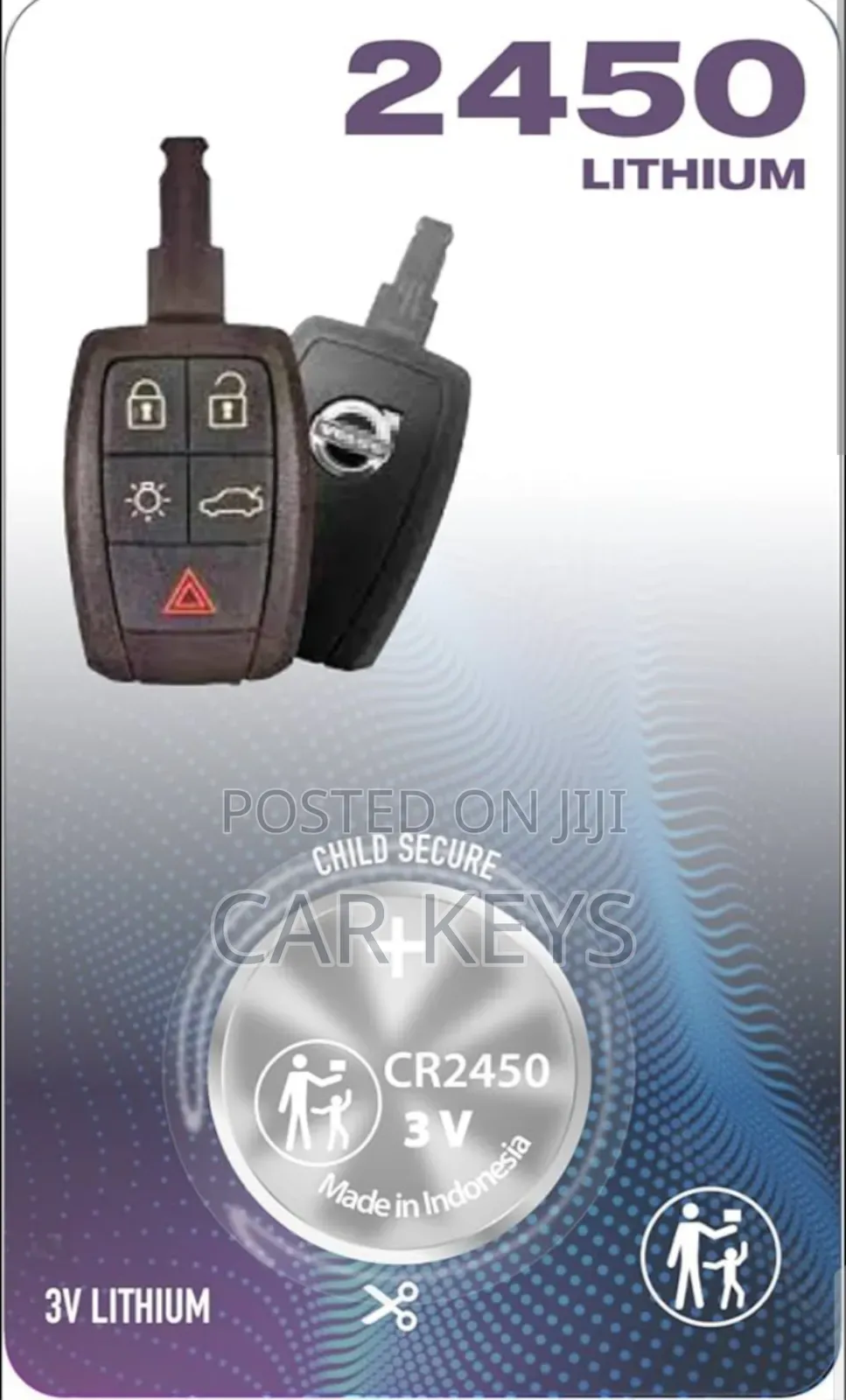 2450 Remote Key Battery