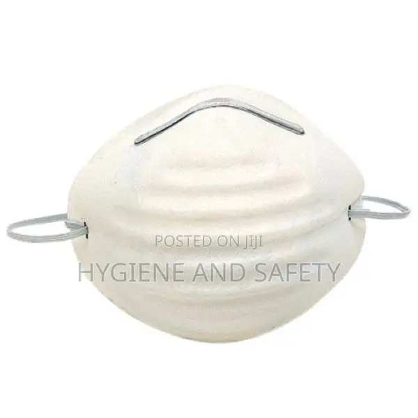 Disposable Dust Mask