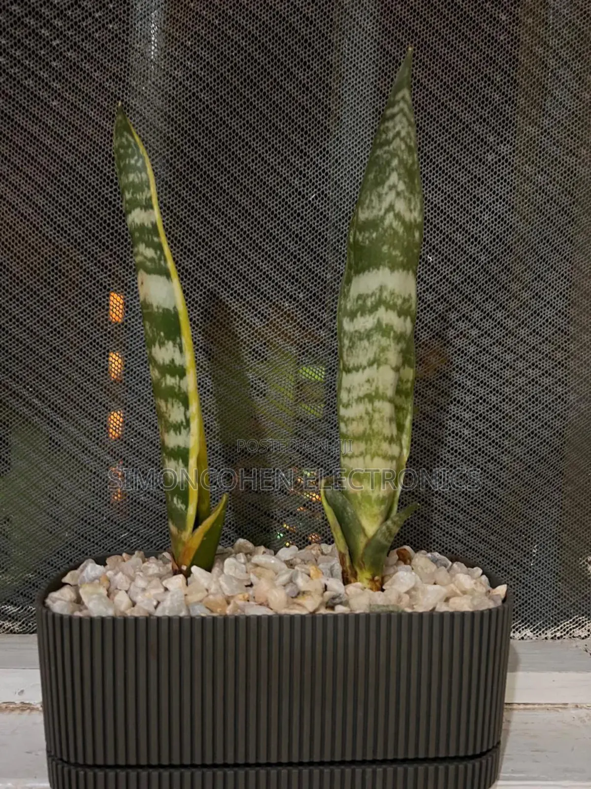 3l Pera Rectangular Planter Pot