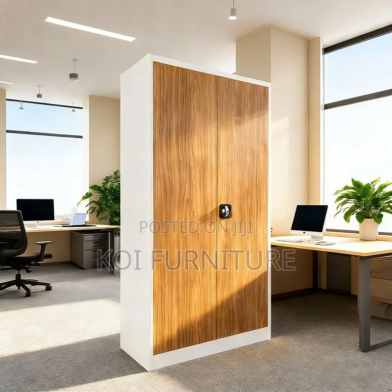 Office Cabinet; Two Doors Executive Filing Cabinet