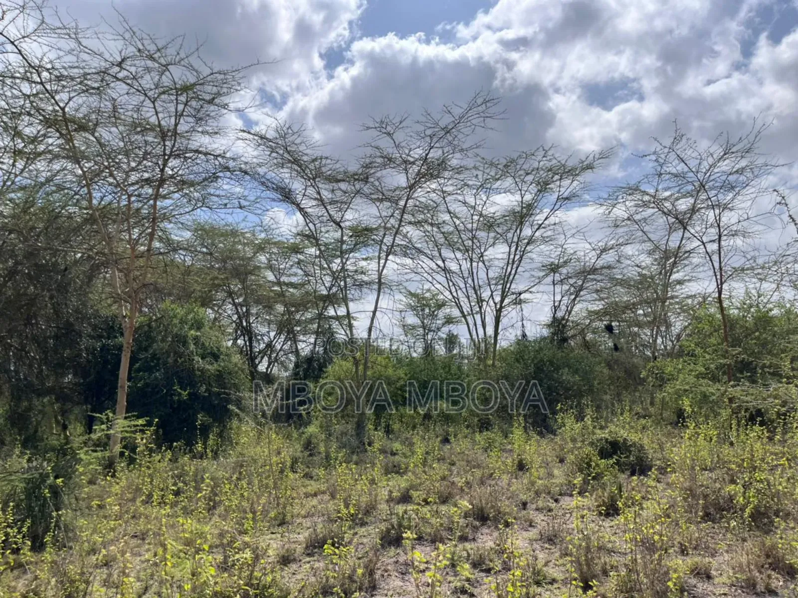 Prime 22.5acres Land in Lukenya