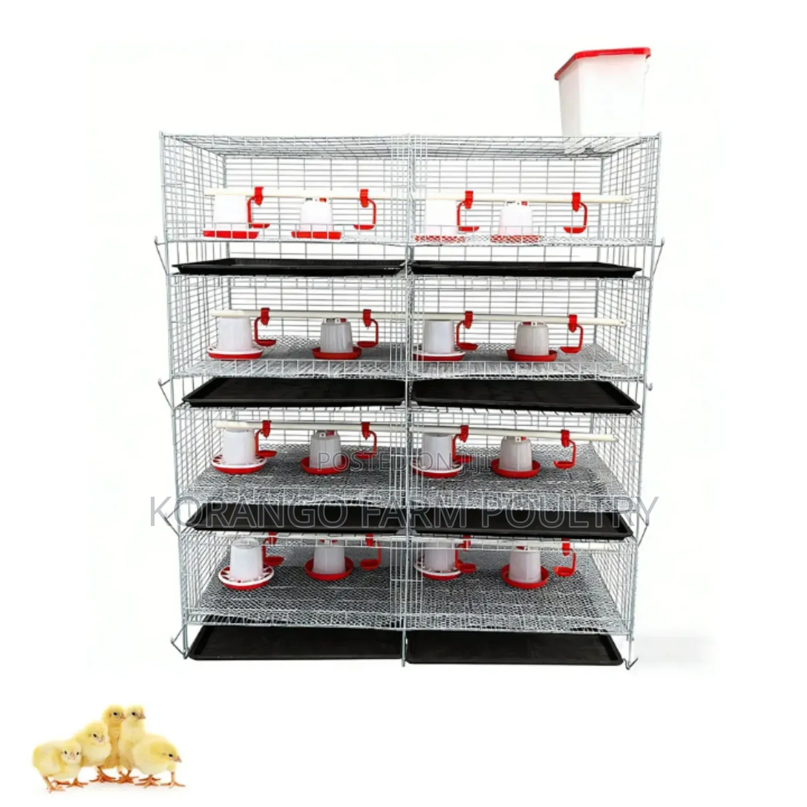 Chicken Brooders