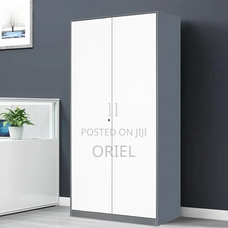 Modern Office Cabinet : 2-Door Steel Filing Office Cabinet