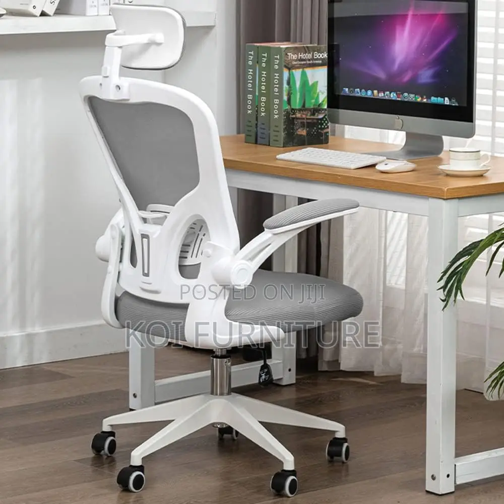 Office Chair : Ergonomic Office Chair With Adjustable Lumbar Support