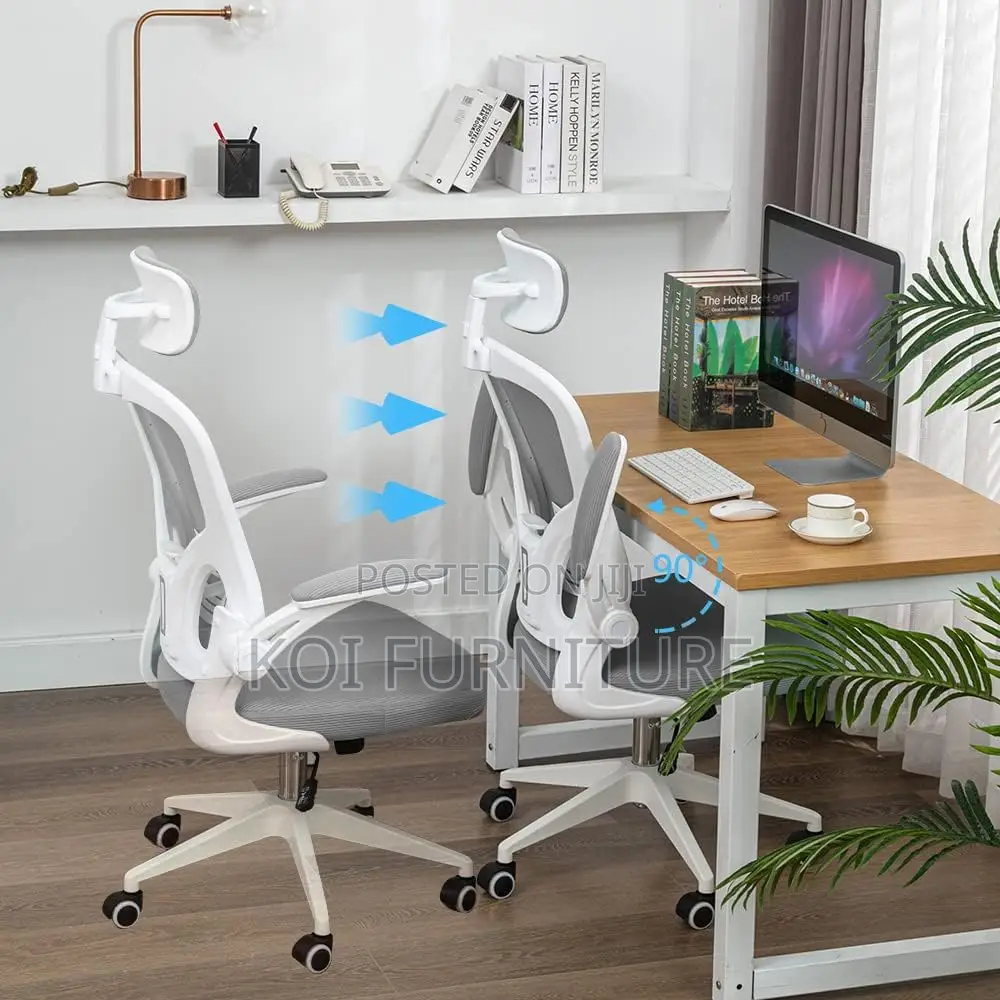 Office Chair : Ergonomic Office Chair With Adjustable Lumbar Support