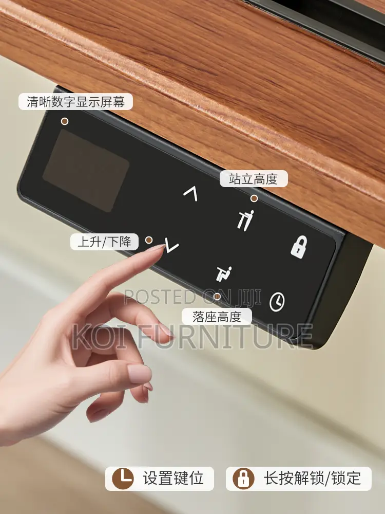 Office Desk : 1.2m Modern Electric Height-Adjustable Desk