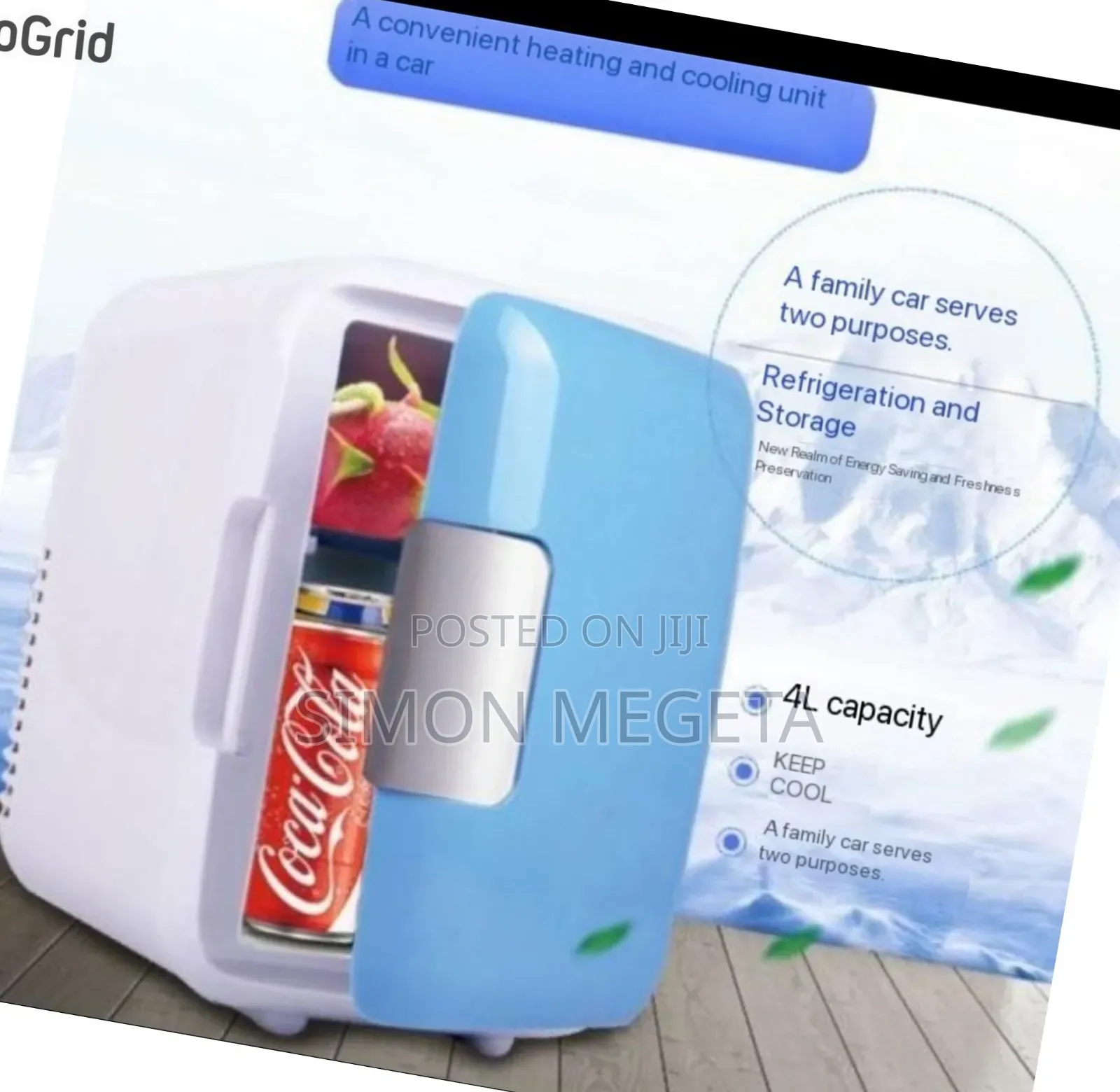 Ac/Dc Car Fridge 4 Litres