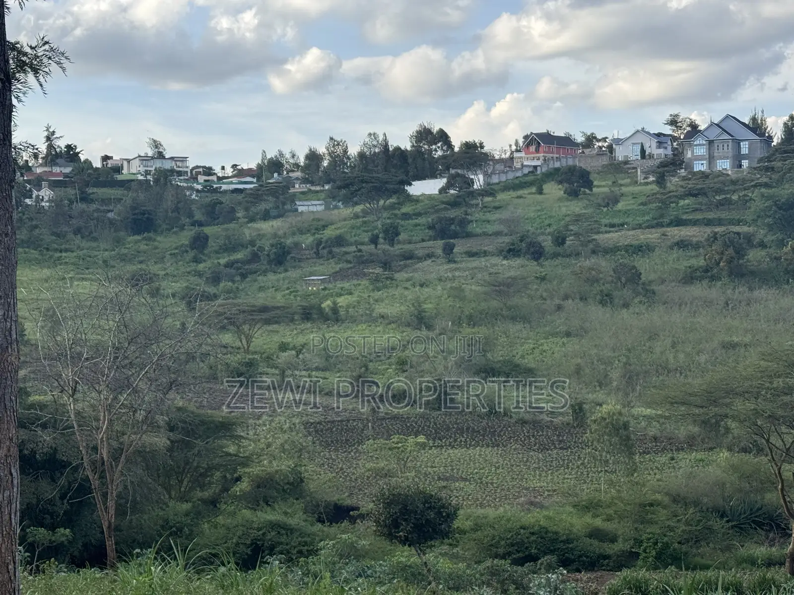1/8 Acre Merisho