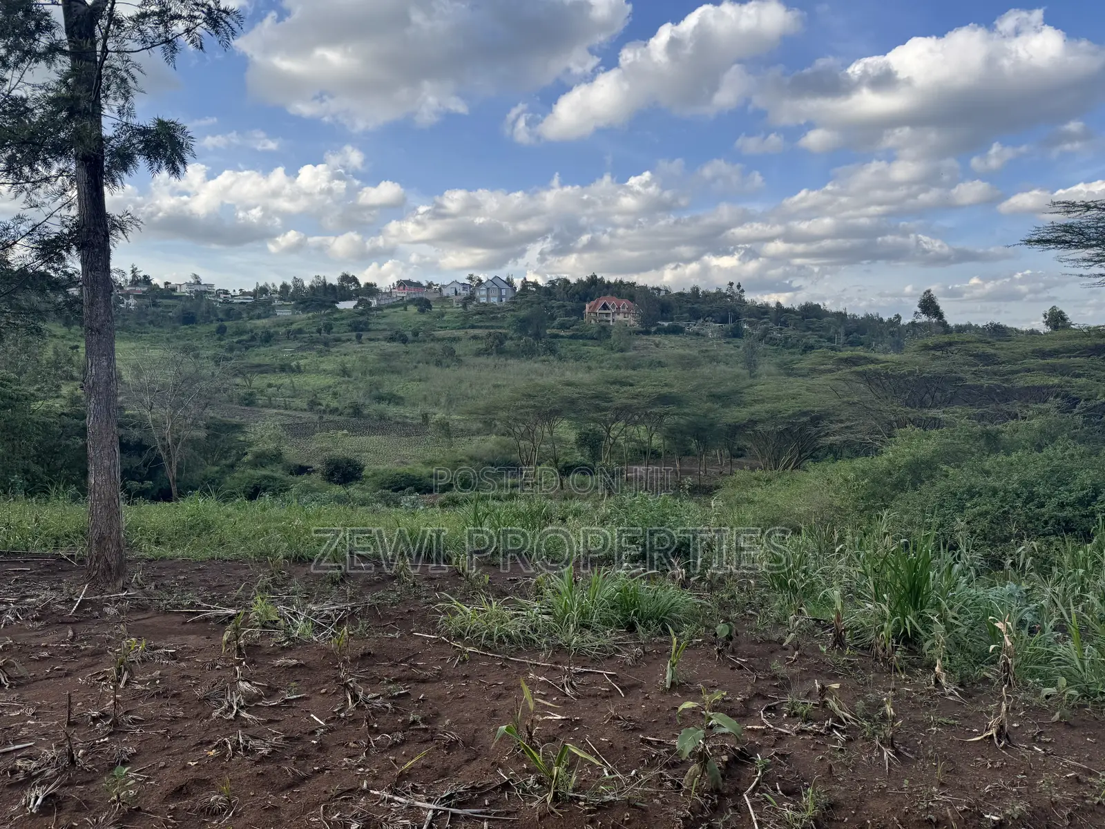 1/8 Acre Merisho