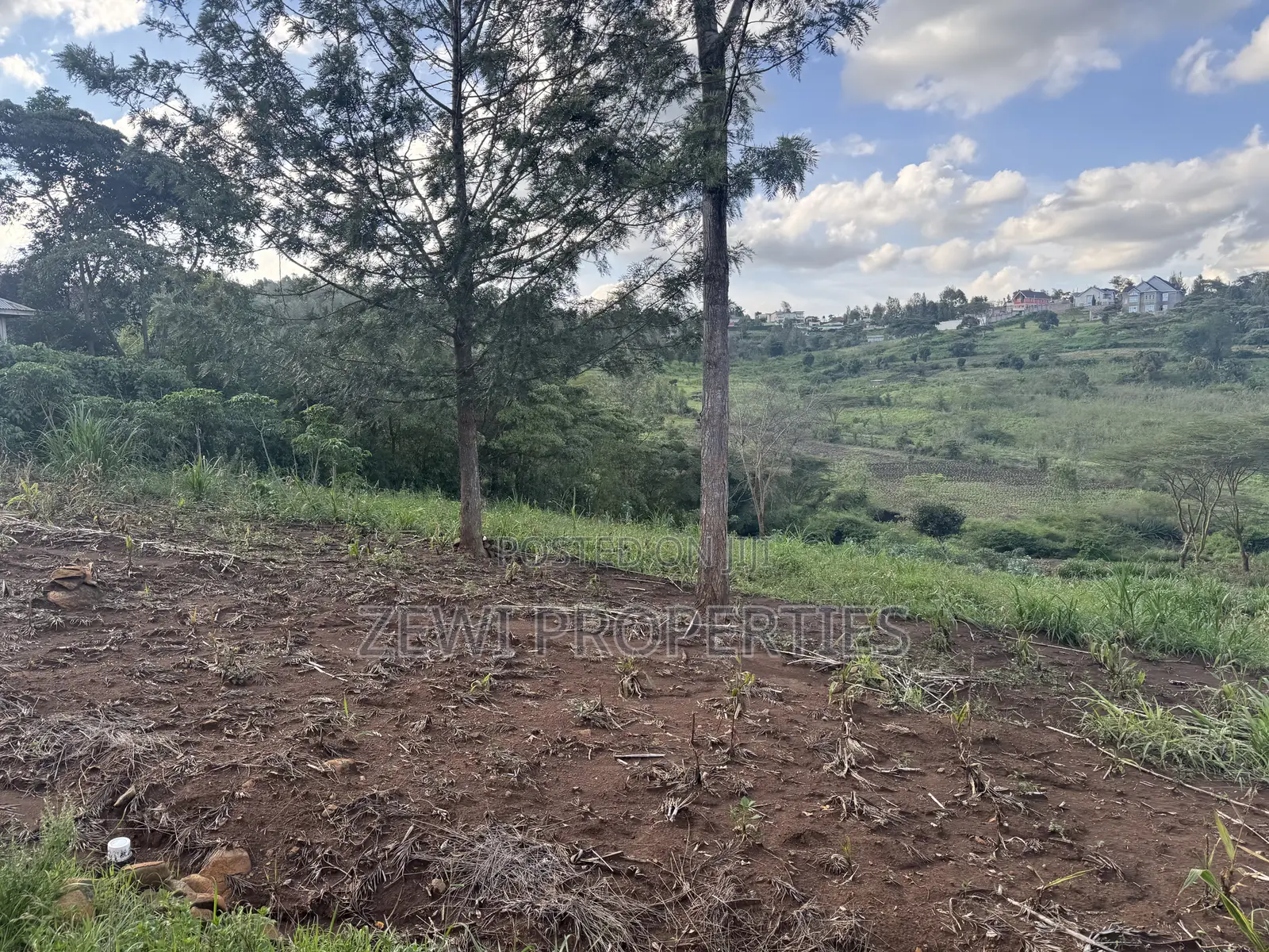 1/8 Acre Merisho