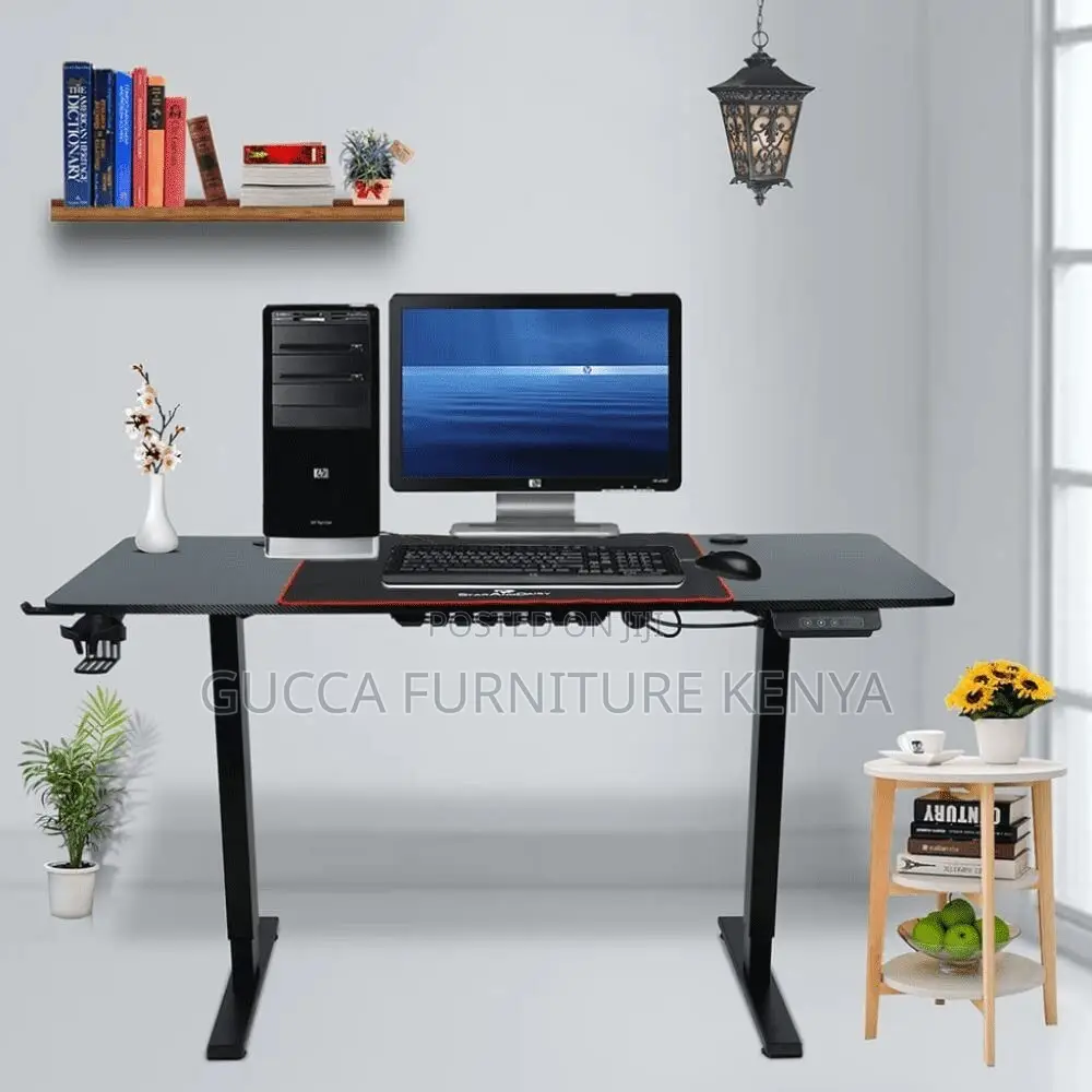 120cm Modern Ergonomic Electric Standing Desk