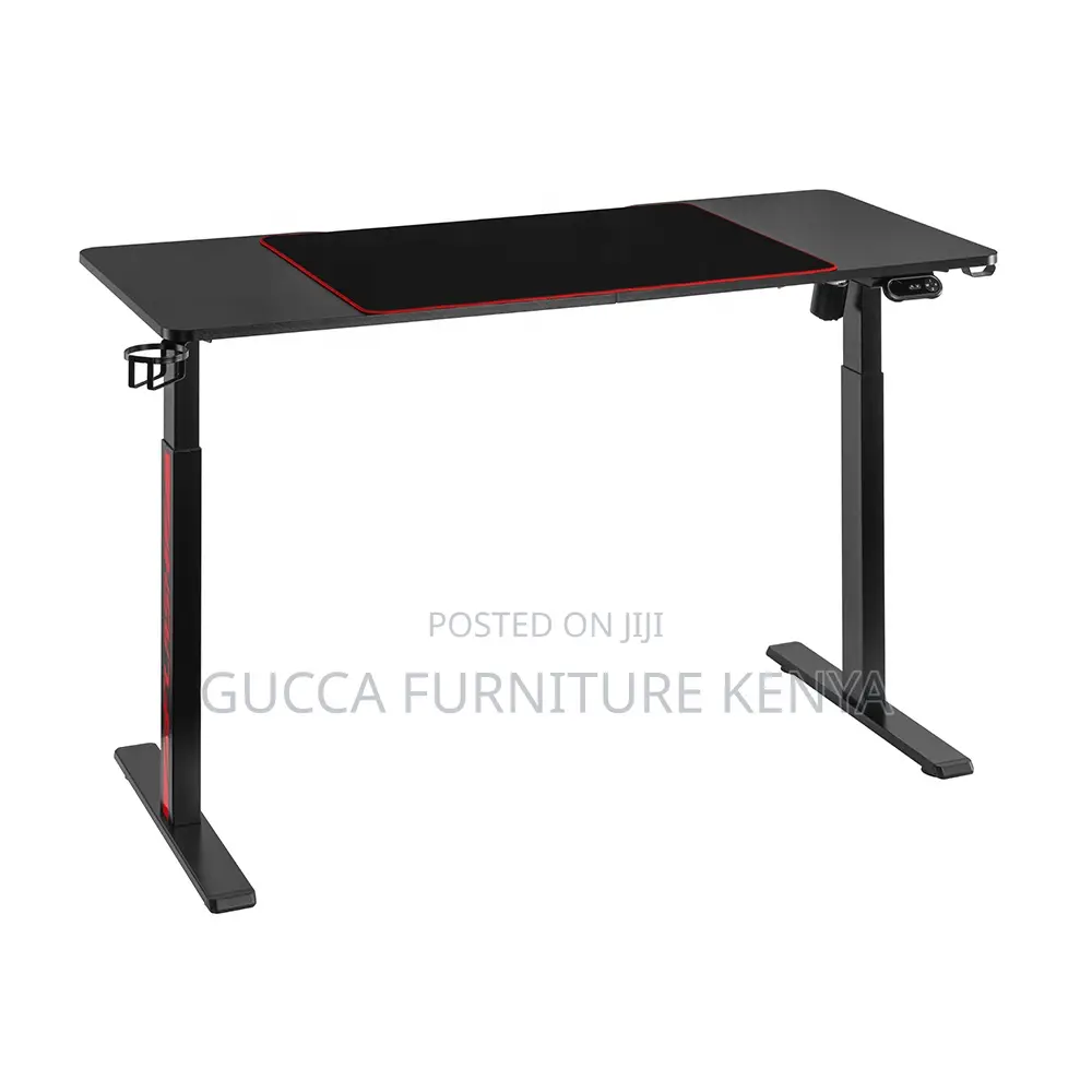 120cm Modern Ergonomic Electric Standing Desk