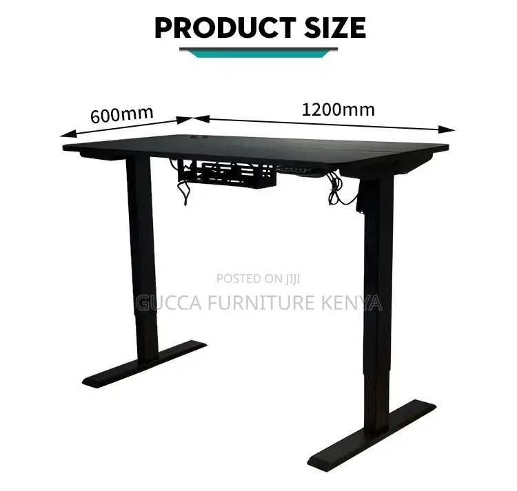 120cm Modern Ergonomic Electric Standing Desk