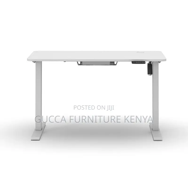 120cm Modern Ergonomic Electric Standing Desk