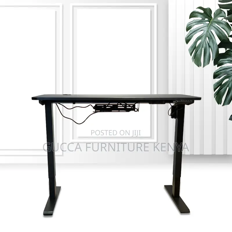 120cm Modern Ergonomic Electric Standing Desk