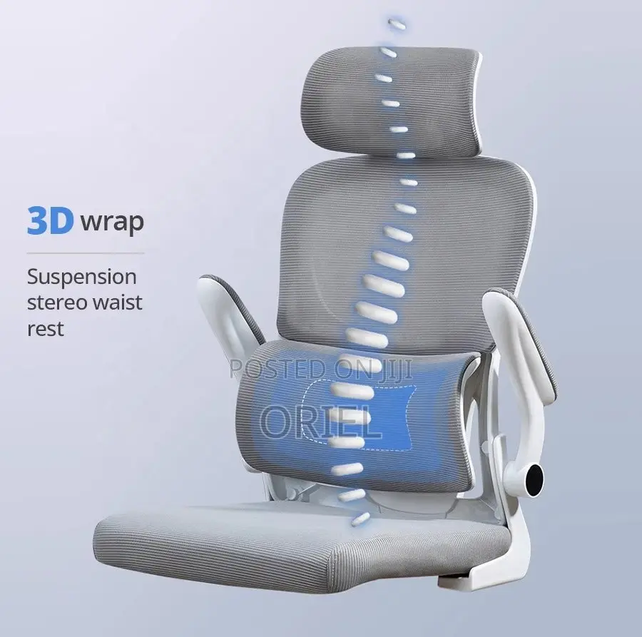 High Back Chair: Ergo Elite Executive Workstation Chair