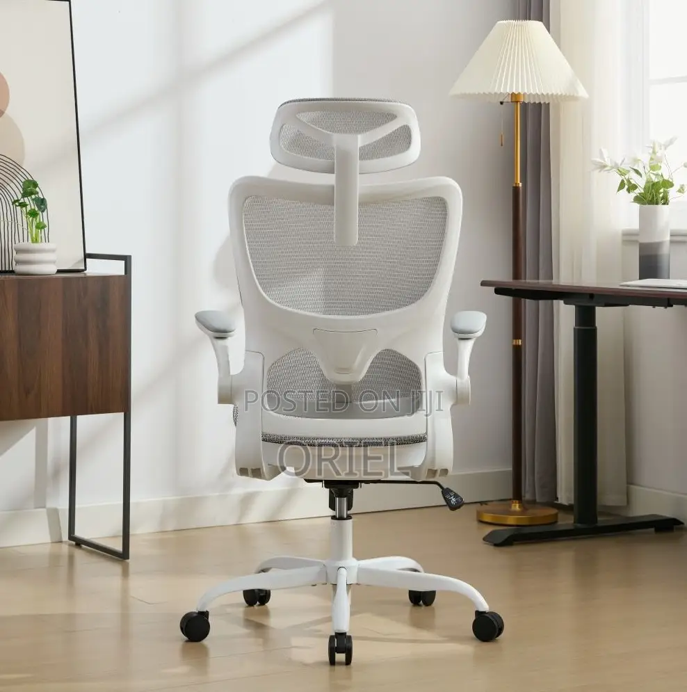 High Back Chair: Ergo Elite Executive Workstation Chair