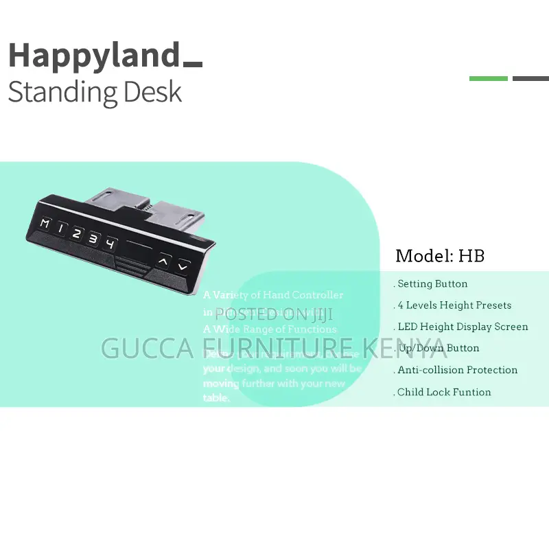 Black Ergonomic Electric Office Standing Desk