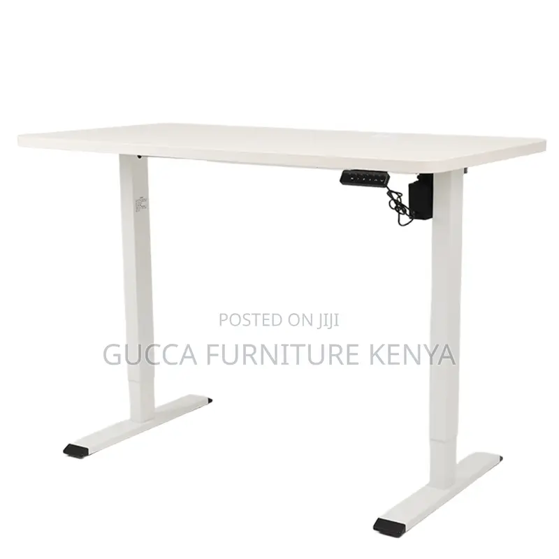 Black Ergonomic Electric Office Standing Desk