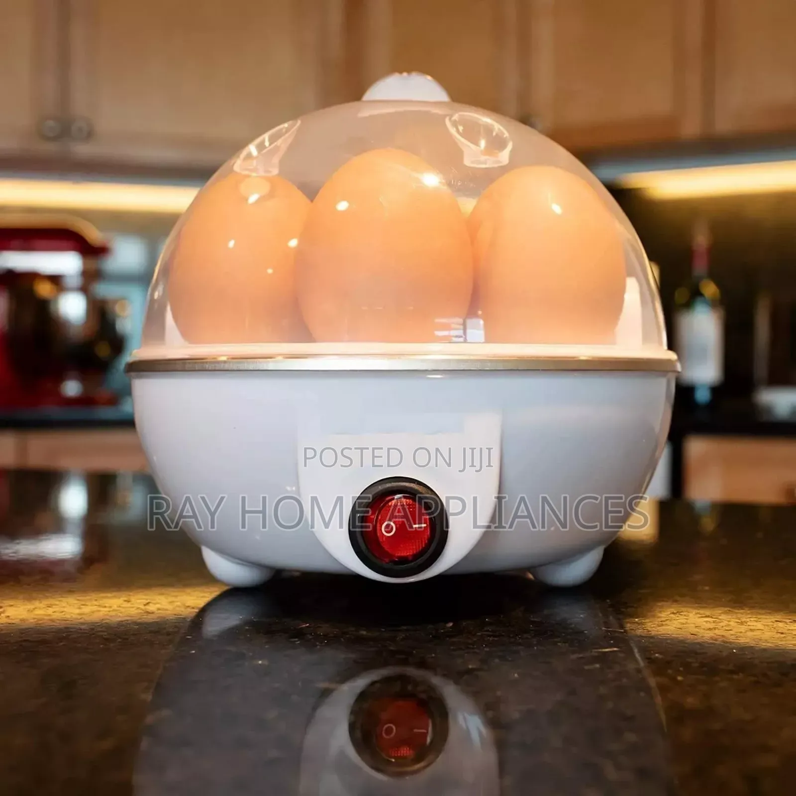 Single Egg Boiler