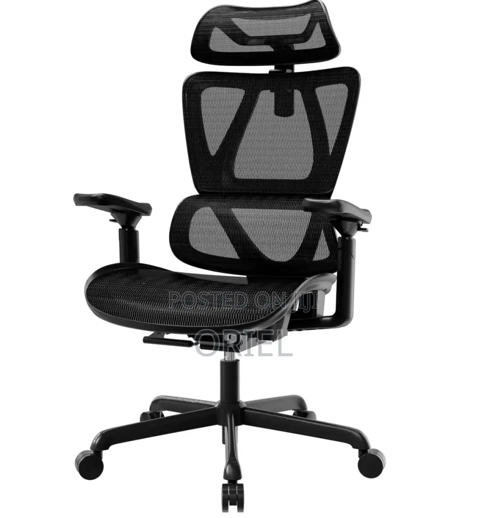 Office Chair : Orthopedic Office Chair With Adjustable Footrest
