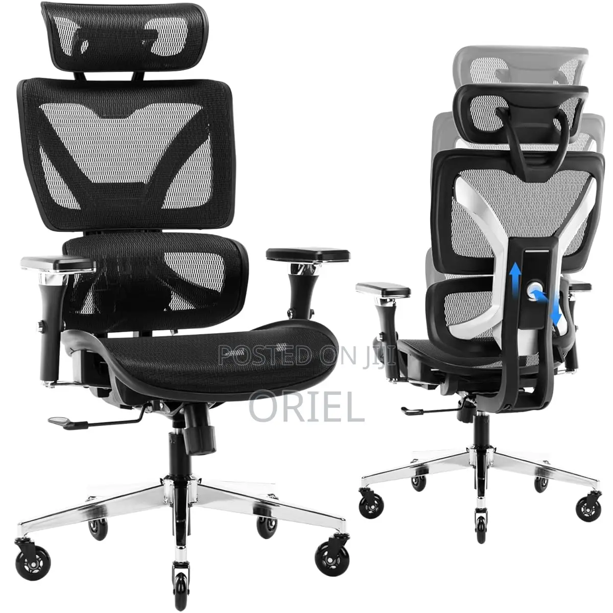 Office Chair : Orthopedic Office Chair With Adjustable Footrest