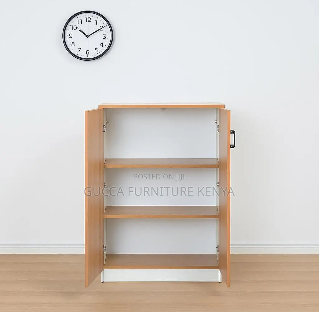 2-door Custom Credenza Office Filling Cabinet
