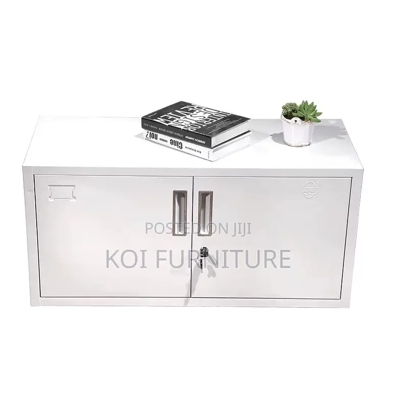 Office Cabinet; 2 Doors Steel Gray Office Cabinet