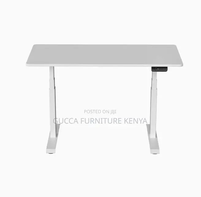 120cm White Electric Sit Stand Adjustable Office Desk