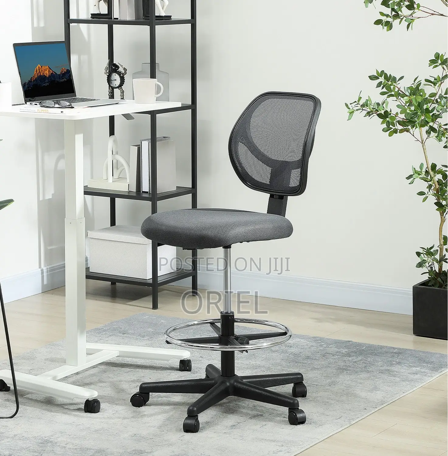 Office Chair: Receptionist Ergonomic Chair