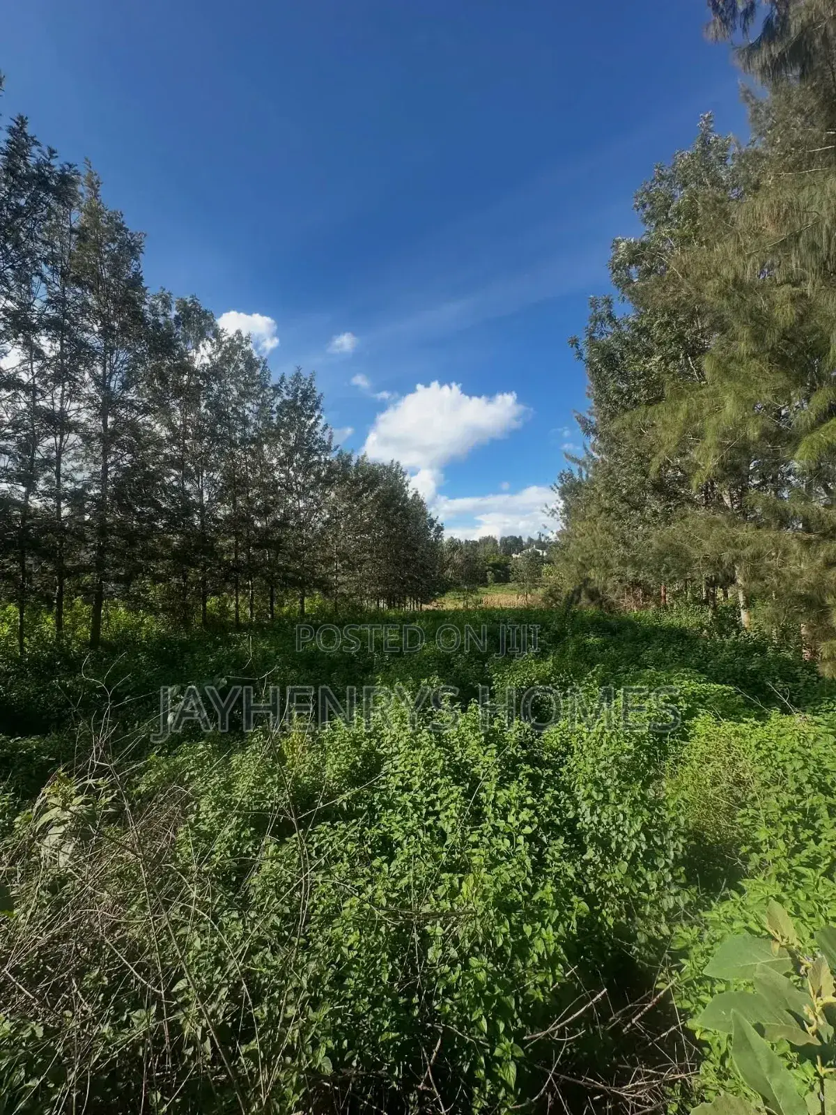 Half Acre Plot for Sale in Mushroom Gardens,Off Kiambu Rd