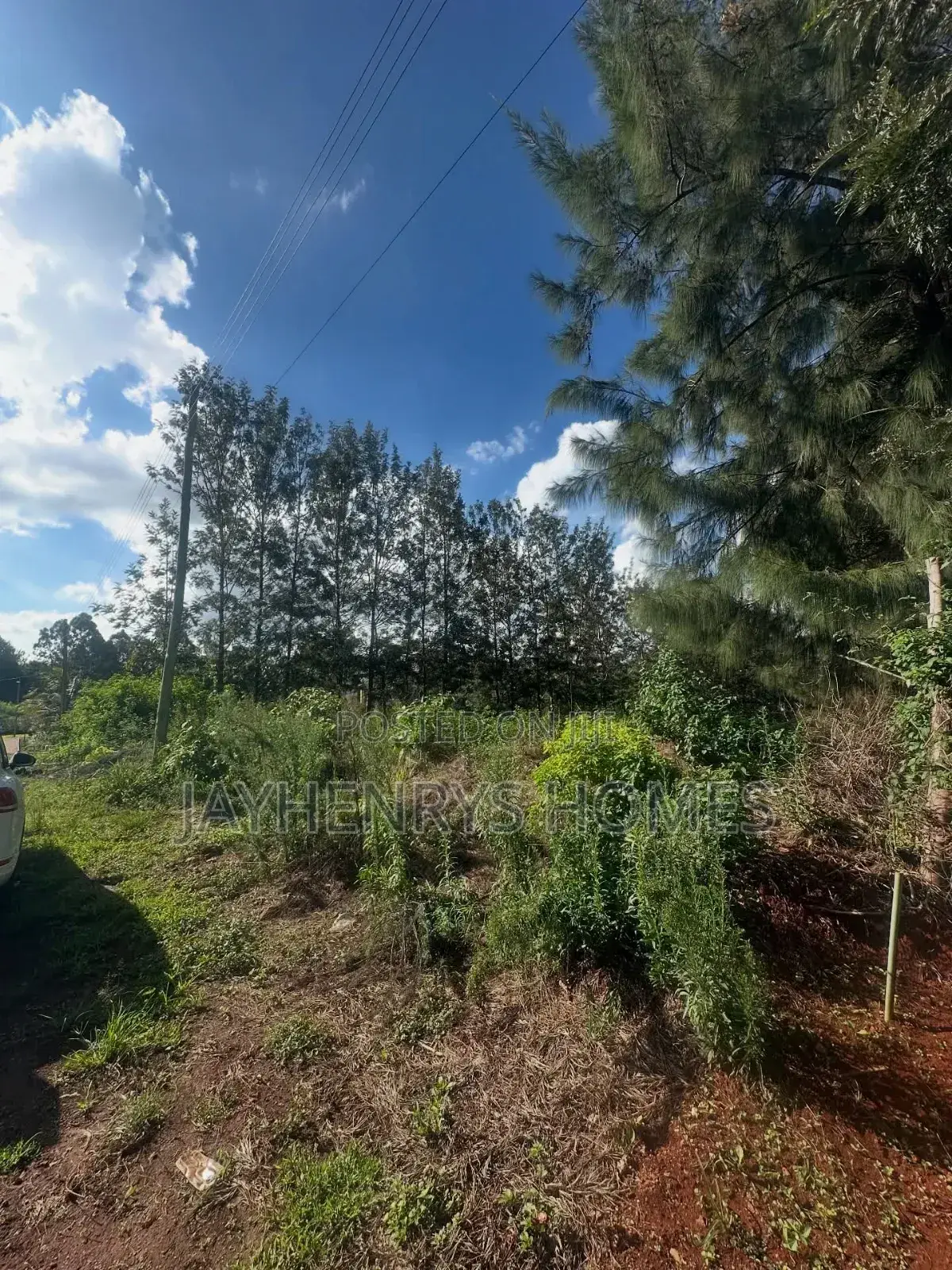 Half Acre Plot for Sale in Mushroom Gardens,Off Kiambu Rd