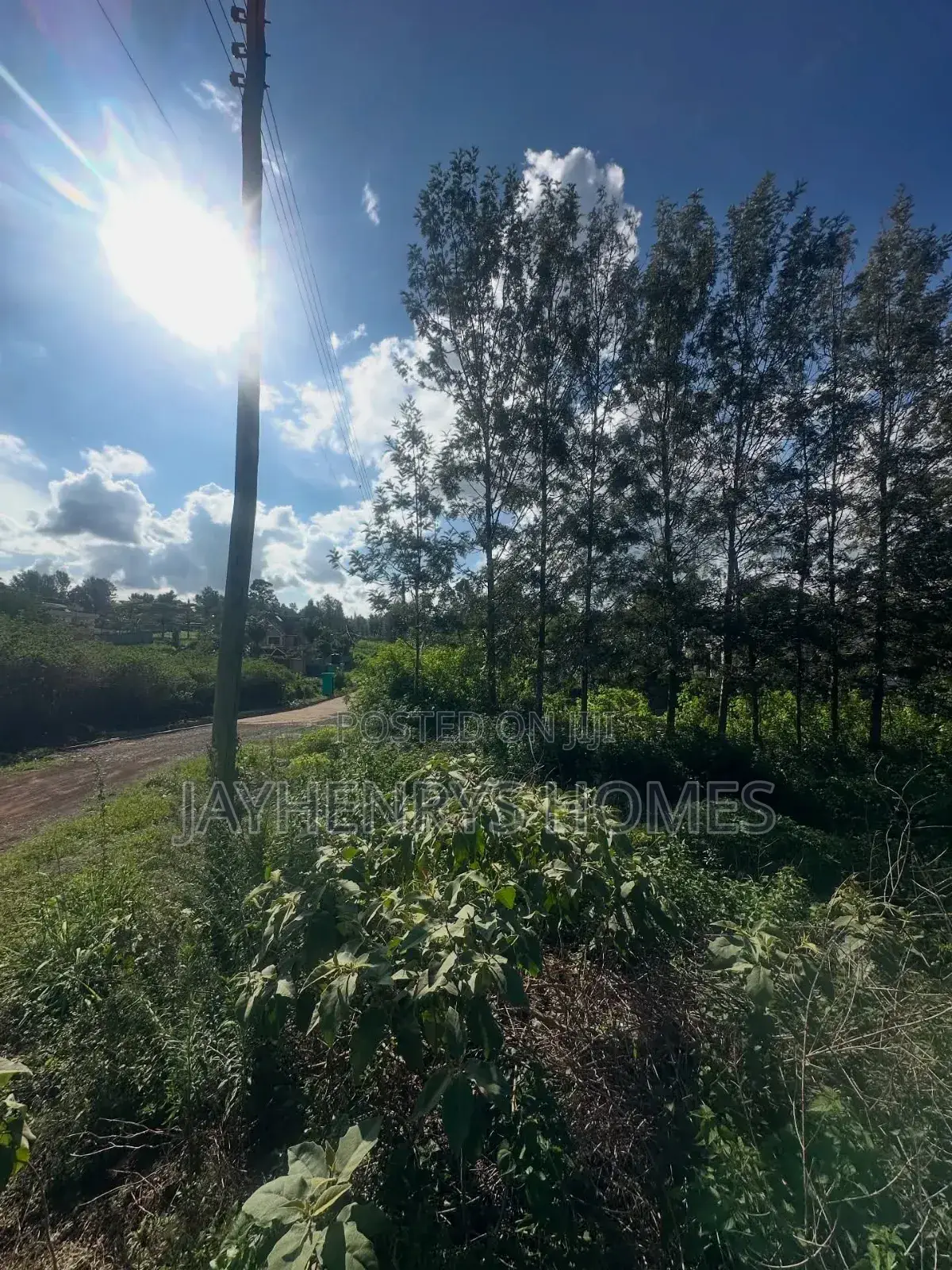 Half Acre Plot for Sale in Mushroom Gardens,Off Kiambu Rd