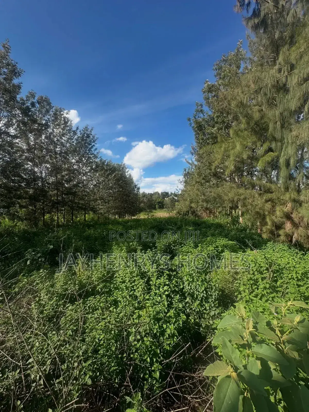 Half Acre Plot for Sale in Mushroom Gardens,Off Kiambu Rd