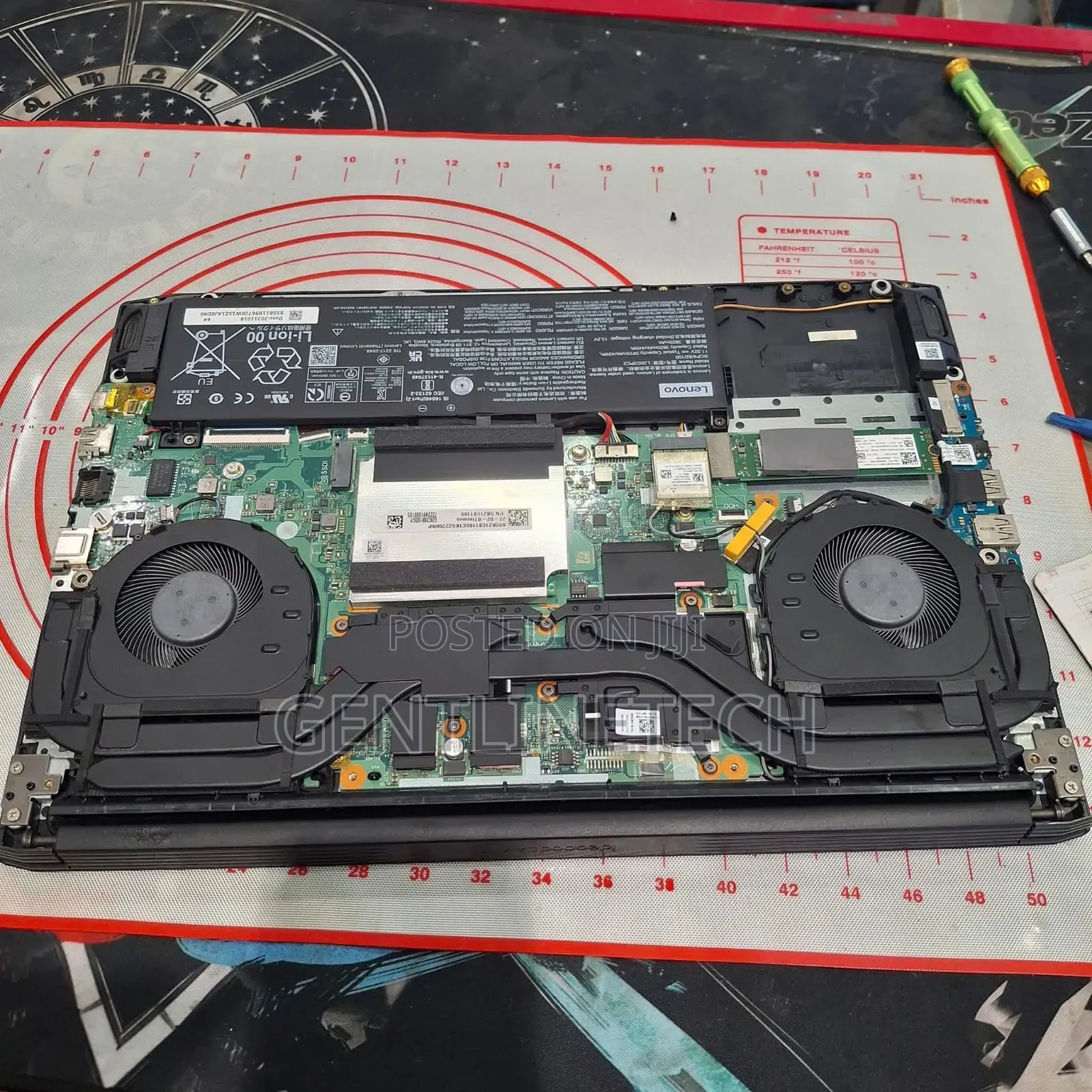 Professional Laptop Fan Dust Cleaning
