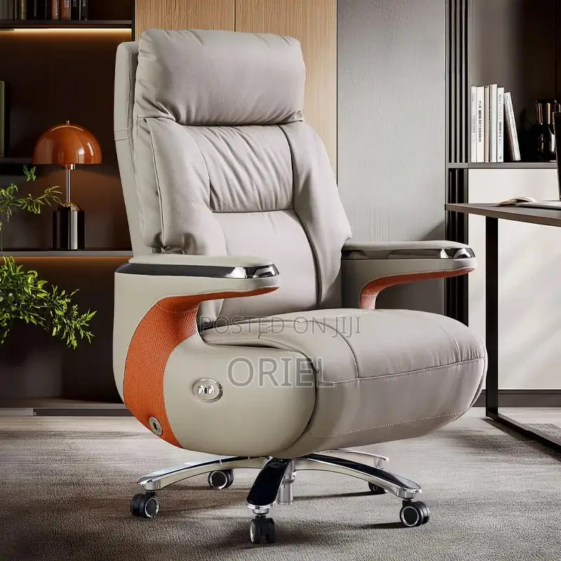 Office Chair : Executive Reclining Ergonomic Office Leather Chair