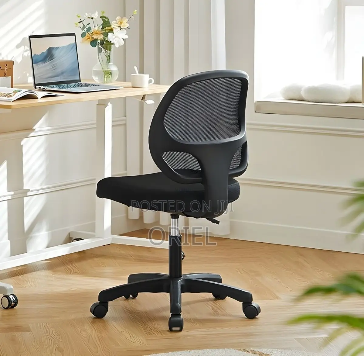 Office Chair : Height Adjustable Office Cashier Chair