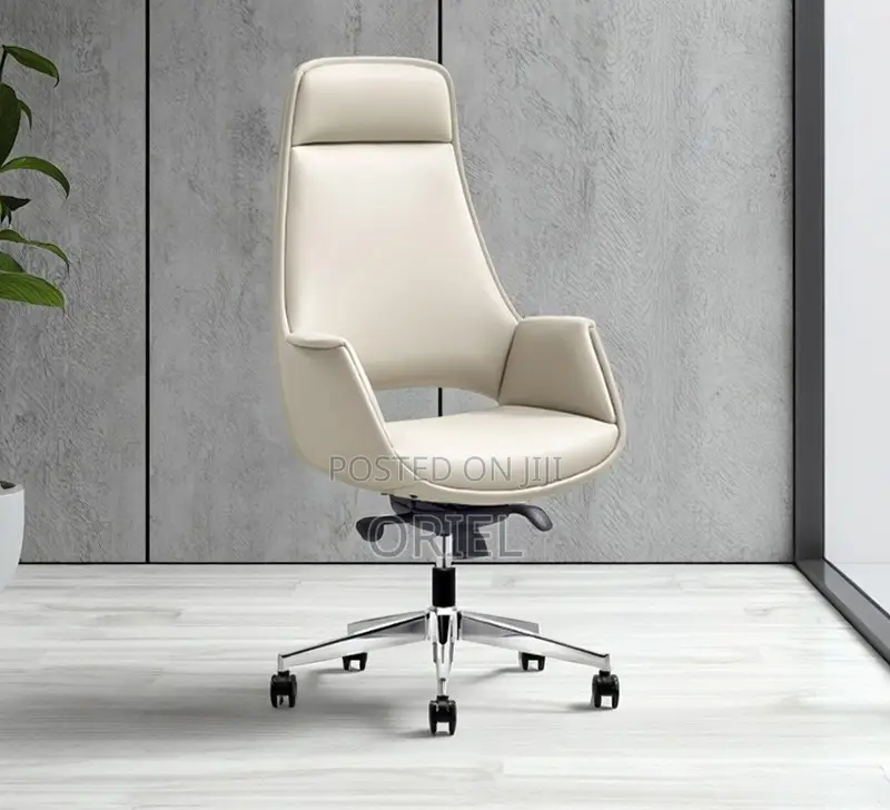 Office Chair : Executive Luxury Design Office Ergonomic Chair