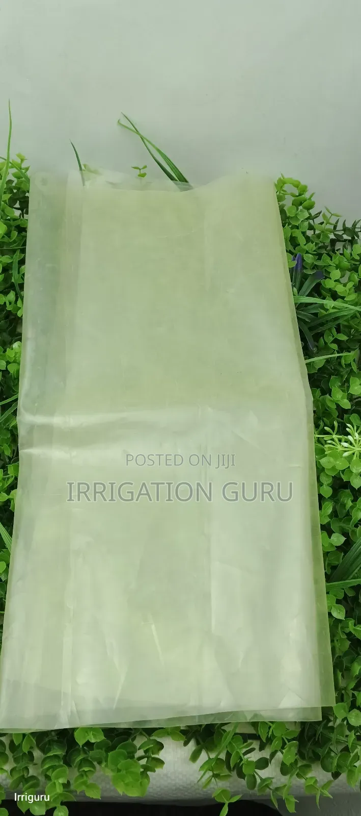 Green House Kali Film